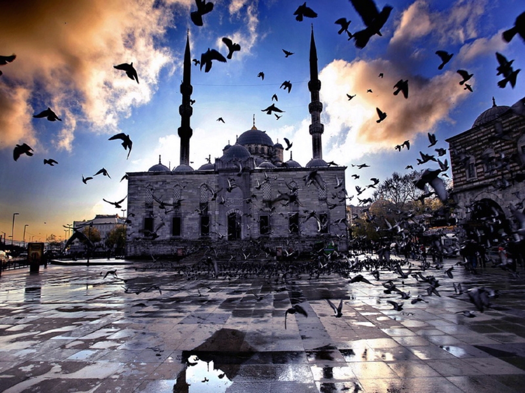 6 Dias en las ciudades de Estanbul y Kusadasi del paquete thmb img